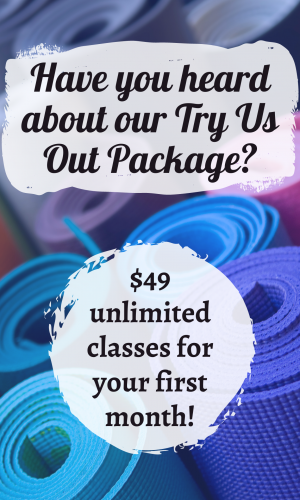 Try Us Out Package - Vertical website
